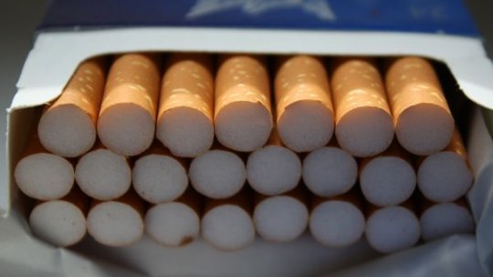 Fabrică clandestină de ţigări înfiinţată de români şi ucraineni, descoperită în judeţul Iaşi