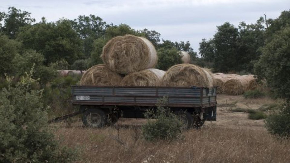 APIA demarează campania de plată în avans pentru fermieri