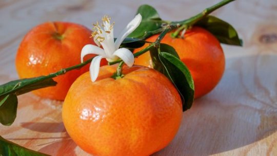 Beneficii uimitoare ale consumului de mandarine pentru piele, păr și sănătate