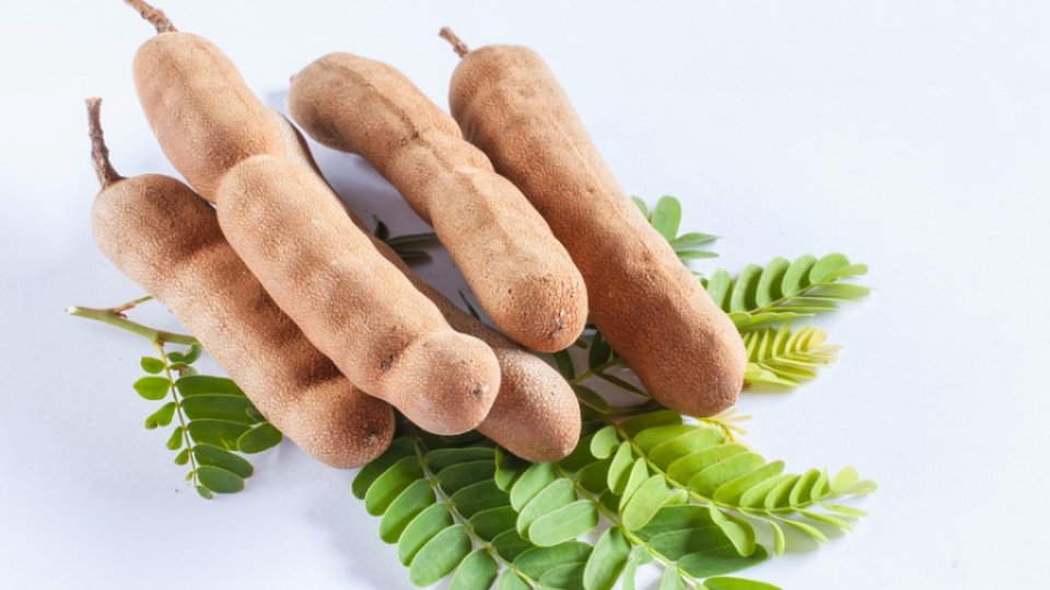 Legenda indiană a tamarindului, care ar ascunde noaptea duhurile pământului