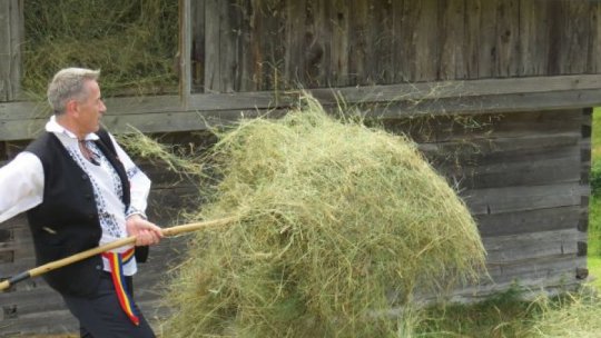 Aproape un sfert din fermierii bistrițeni sunt trecuți de prima tinerețe