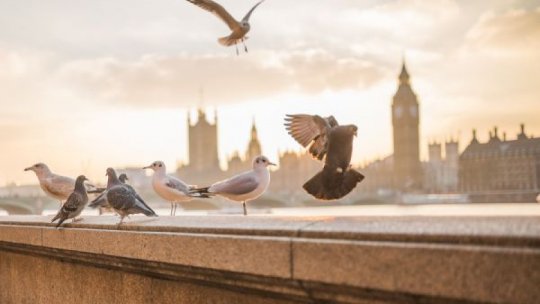 Reguli noi pentru intrarea în Marea Britanie