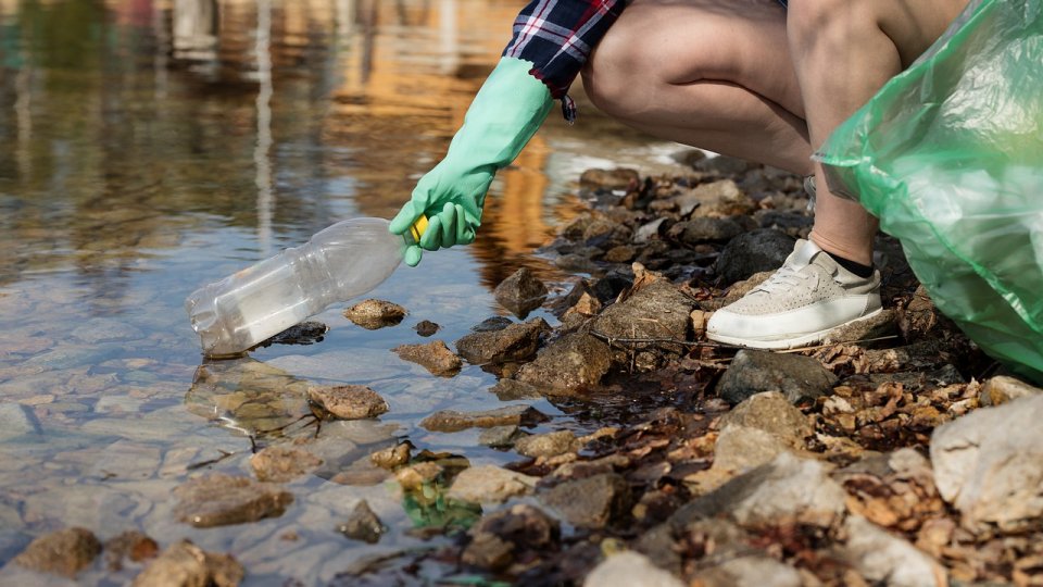 Acţiune de ecologizare a malurilor râului Olt, pe raza municipiului Sfântu Gheorghe