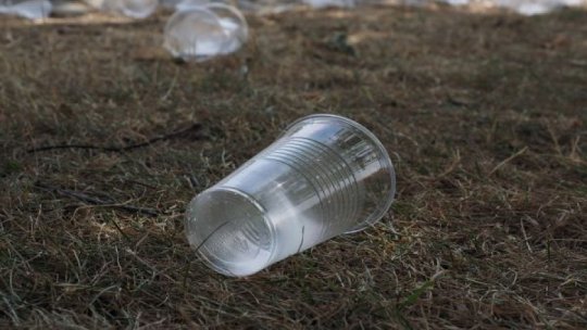 Peste jumătate din deşeurile de plastic din lume "provin de la 12 companii"
