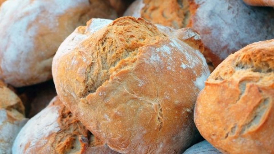 Pâinea mucegăită este periculoasă pentru sănătate. Cum este bine să o depozitezi