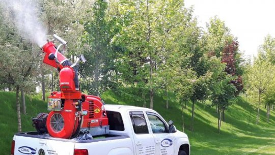 Tratamente de dezinsecție, desfășurate în Satu Mare