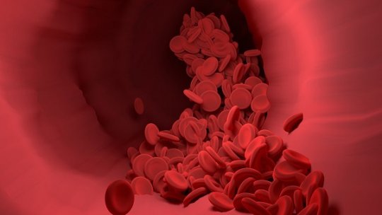 Donatorii de sânge sau plasmă, aşteptaţi la Centrul Regional de Transfuzii Sanguine Constanţa