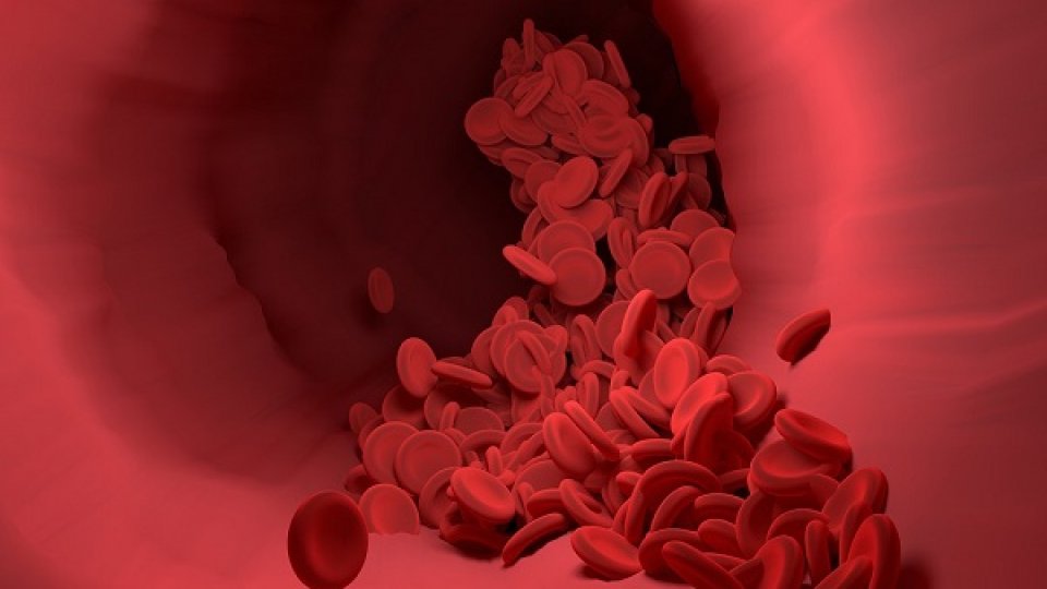 Donatorii de sânge sau plasmă, aşteptaţi la Centrul Regional de Transfuzii Sanguine Constanţa