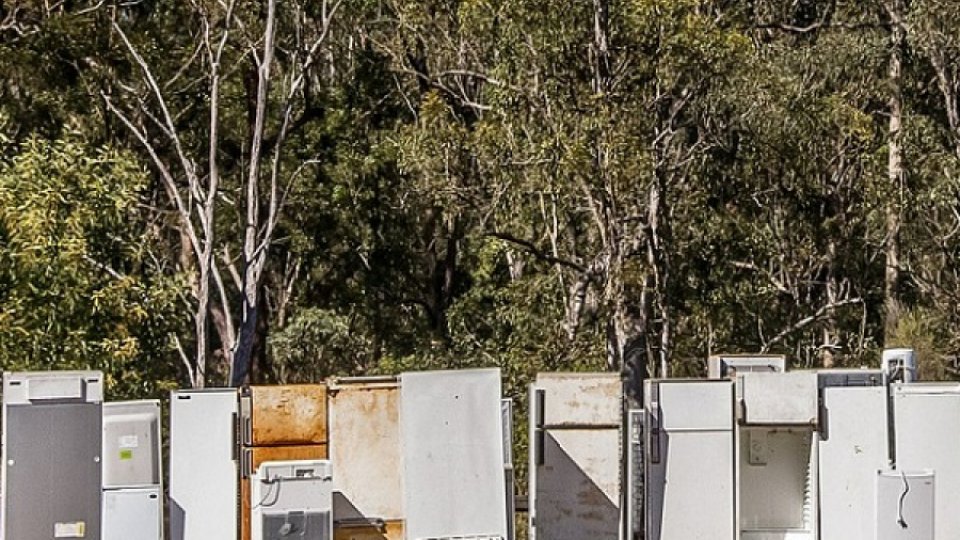 Programul Rabla pentru electrocasnice începe în mai puţin de o săptămână