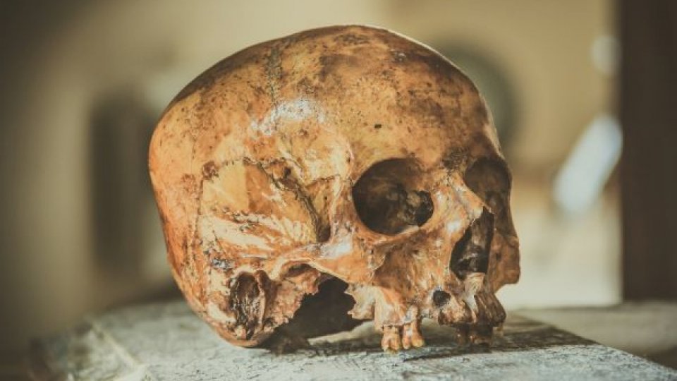 Analize ADN confirmă înrudirea a doi vikingi morţi acum 1000 de ani în Anglia, respectiv Danemarca