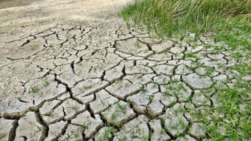 Temperatura medie anuală de pe Terra a ajuns la cote alarmante
