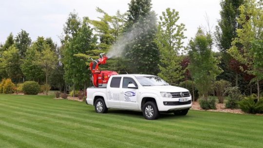 Tratamente de dezinsecție, desfășurate în Timișoara