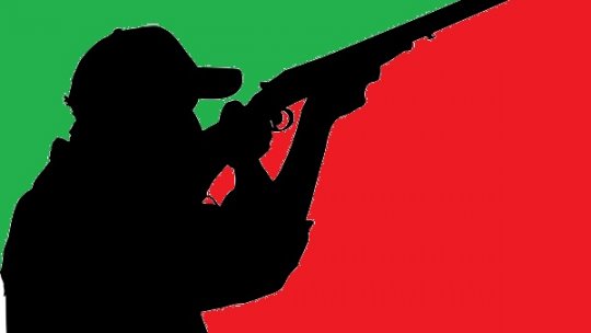 În loc de mistreţ şi vulpe, au vânat ilegal un cerb! Acum sunt arestați