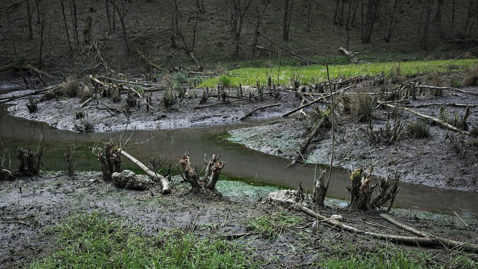 Pagube produse la ploile torenţiale şi vând în mai multe localităţi din ţară