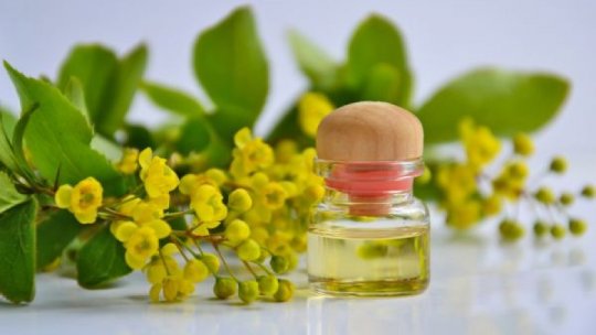 Beneficiile uleiurilor esențiale. Cum trebuie să fie utilizate