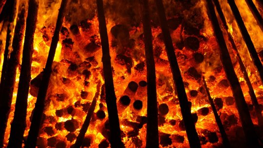 200 de incendii de vegetaţie uscată au afectat localităţi din judeţul Mehedinţi