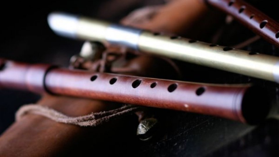 REGULAMENT CONCURS „Muzica românilor”