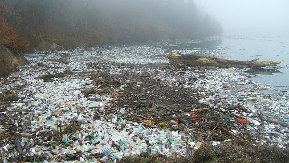 Râurile din Mureş sunt poluate în mod constant cu deşeuri