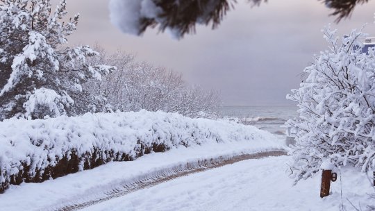 Maramureş: circulaţie îngreunată din cauza ninsorii