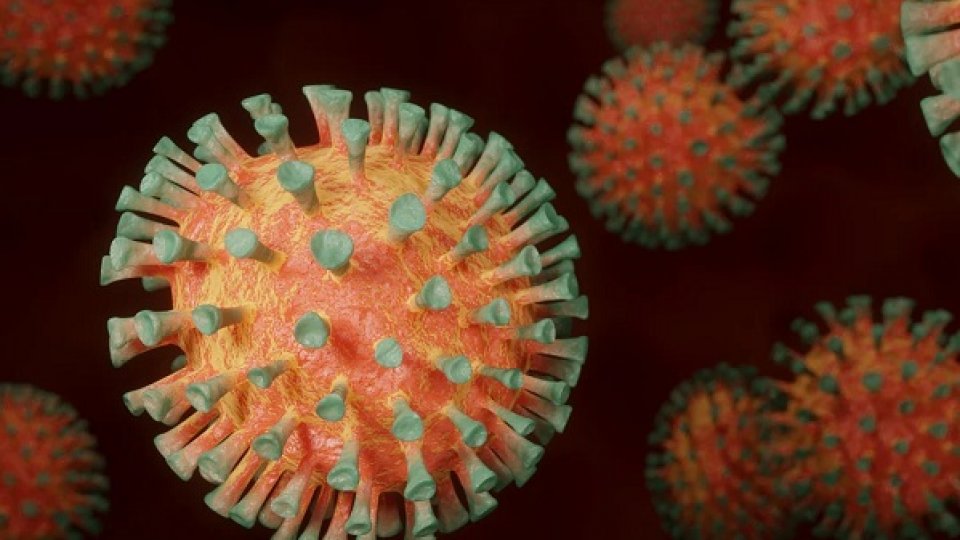 Primele luni din 2022, dificile, întrucât pandemia de coronavirus nu a trecut