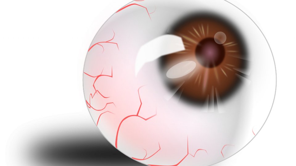 Boala Creutzfeldt-Jakob: semne vizibile la nivelul ochiului