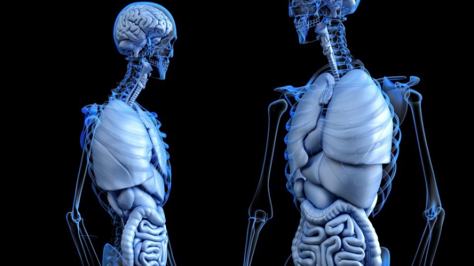 Sindromul intestinului iritabil - ce legătură are cu vitamina D?
