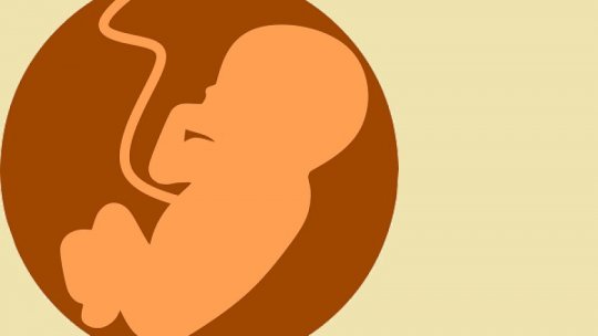 Fertilizarea un vitro - un test genetic poate detecta IQ-ul bebelușului