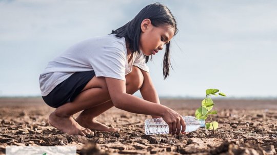 Infracţiunile climatice - poate justiția să compenseze lipsa deciziei politice?