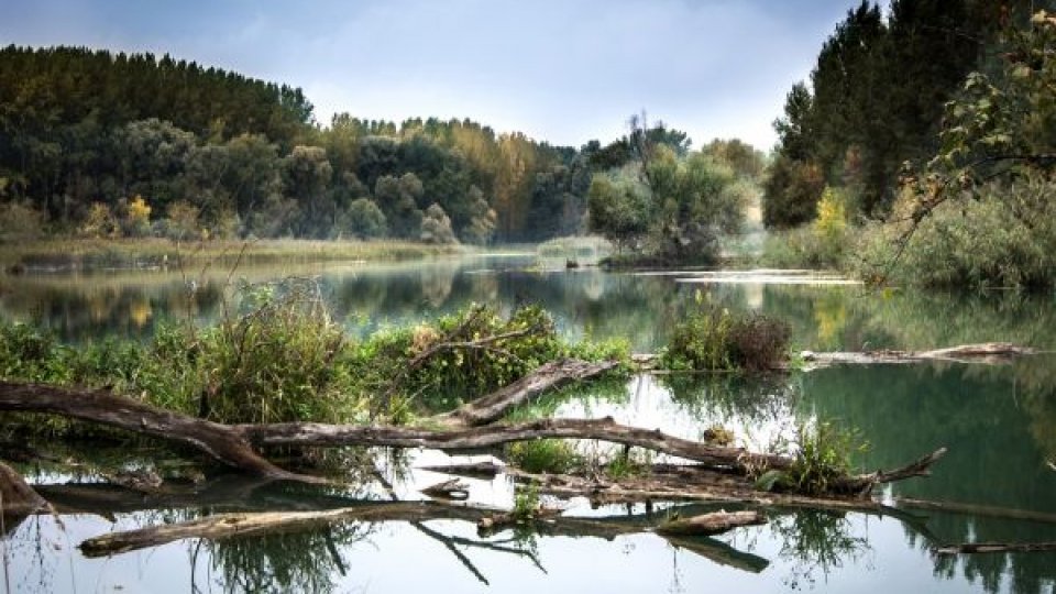 Nivelul apei în lacurile Deltei a crescut în ultimele două săptămâni