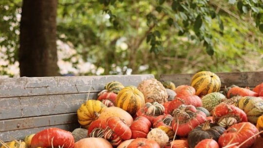 Dovleacul, vedeta sănătoasă a toamnei