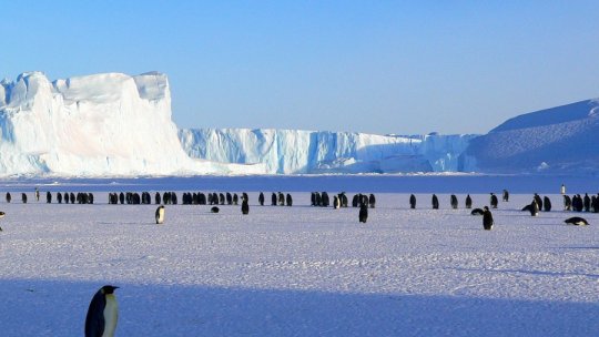 Oamenii de ştiinţă au descoperit un nou râu sub Antarctica