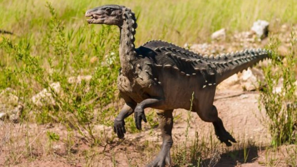 O nouă specie de dinozaur a fost descoperită în Geoparcul Ţara Haţegului