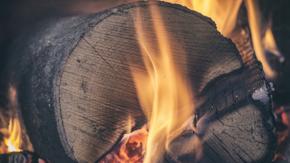 Ciucă: Măsura de limitare a preţului la lemnele de foc va fi corectată