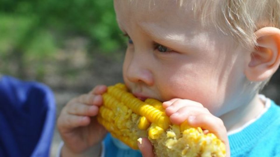 Cum să ii determini pe copii să mănânce legume cu ajutorul muzicii