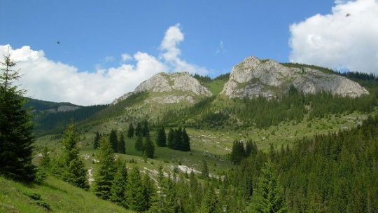 Operaţiune de căutare a unui cetăţean ucrainean blocat în Munţii Maramureşului, reluată