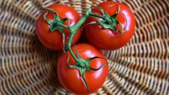 Livingston și tomatele - adevărul despre roșii și cum au ajuns să fie ceea ce sunt azi