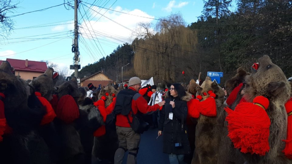 „La Comănești, îmblânzirea ursului reprezintă prosperitatea!”