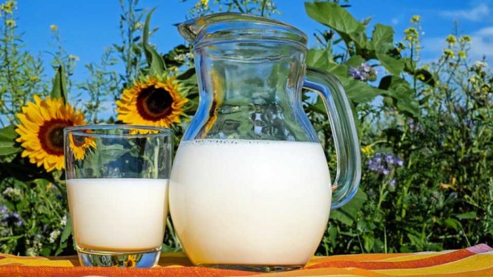 Laptele, aliment bogat în Vitamina D