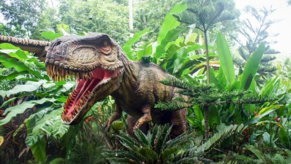 Dinozaurii se aflau în floarea existenţei lor la momentul la care a lovit asteroidul care le-a provocat extincţia