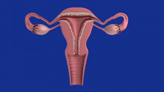 Cancerul endometrial: o nouă metodă de depistare precoce