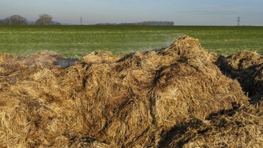 Platformă de depozitare a gunoiului de grajd, disponibilă în localitatea Călăţele, judeţul Cluj