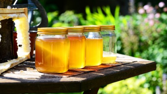 Apicultorii românii au constatat că în perioada pandemiei a crescut consumul de miere