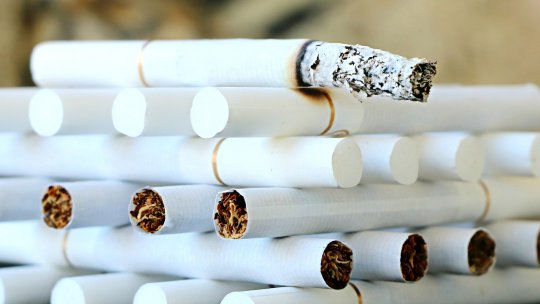 A fost destrucurată o reţea infracţională specializată în contrabandă cu ţigări