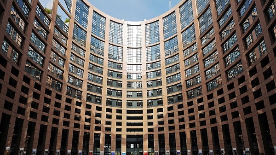 Parlamentul European va solicita o anchetă internaţională asupra evenimentelor din Ucraina