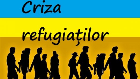 Satu Mare: Valorile de trafic la frontieră s-au menţinut crescute, pe fondul crizei refugiaților