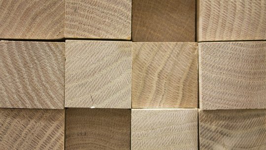 Disponibilizări colective în industria de prelucrare a lemnului