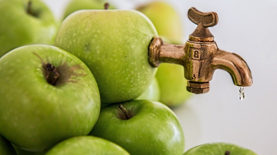 Detoxifierea ficatului cu suc de mere
