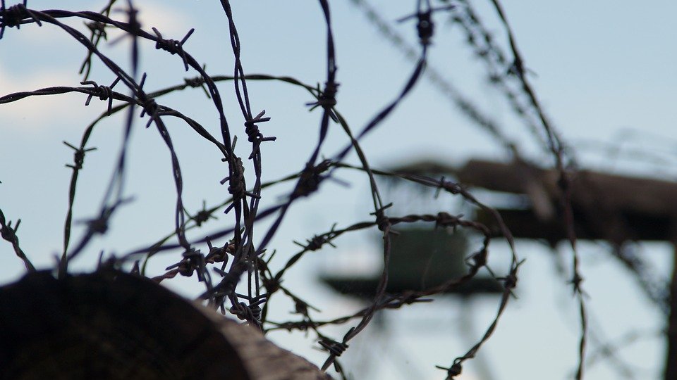 Puşcaşi marini ucraineni, luaţi prizonieri de către trupele ruse