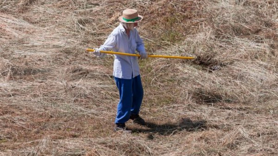 Forme noi de sprijin pentru fermieri, în contextul crizei economice generate de pandemie