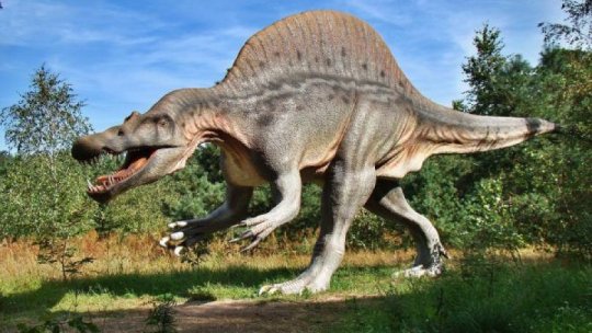 Argentina a prezentat fosilele celui mai mare dinozaur prădător descoperit până acum